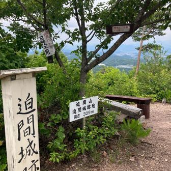 迫間城跡、すなわち迫間山の山頂に到着。
山頂部貸し切り状態。
半年ぶり10度目の登頂です。🙌