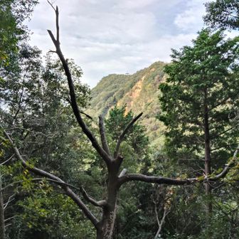 菊水山方面を振り返ってみた。