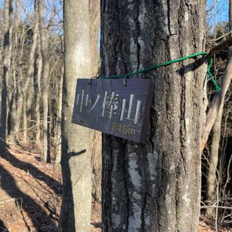 山頂っぽい感じではない場所でしたが、ハイタッチです。