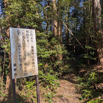 ココから桑實寺(くわのみでら)への山道は有料です(@300円)