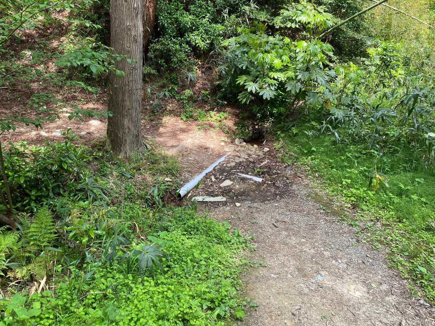 城山-のぞみの丘-法尻山 縦走コースの写真