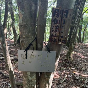 途中にも山名表示板がありました
