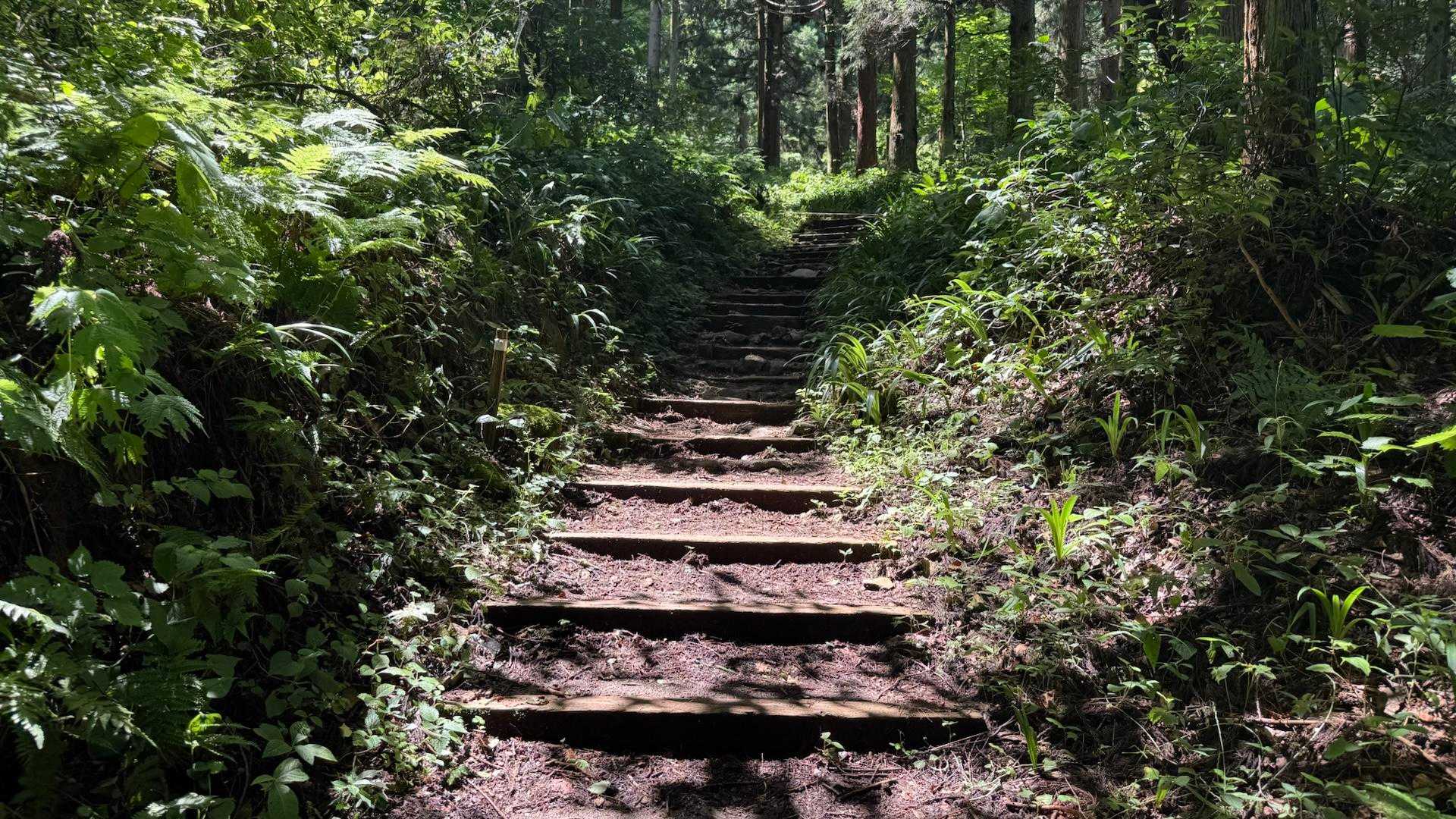 なんか冷んやり。