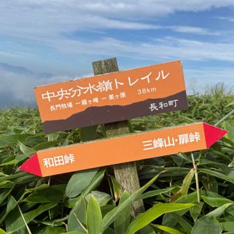 興味あり
https://www.c-trail.com/trail_course/