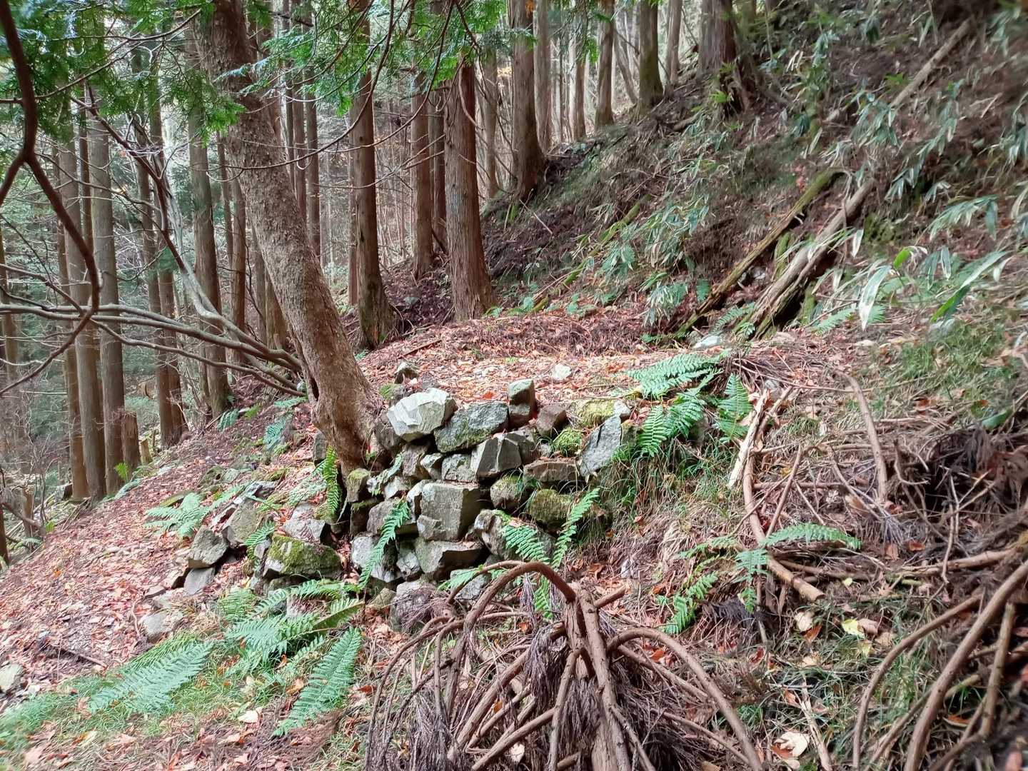 石垣の跡かな🤔