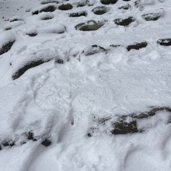 石の階段も歩きやすい、ポッケの中はホッカイロ、携帯も暖かく私の御手手も温めて