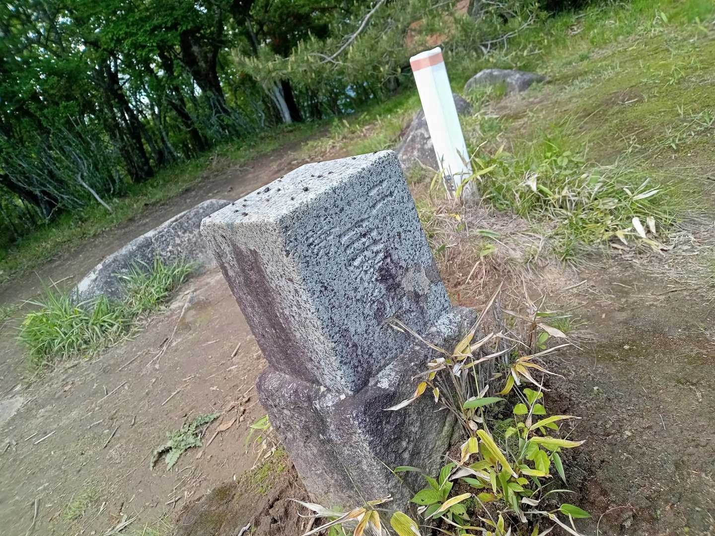二等三角点△があった😲
ふーん…