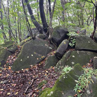 ゴロゴロの岩