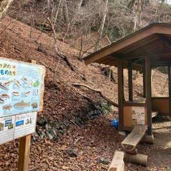 滝の前には東屋と、この沢に生息する生き物の紹介板が設置されてます。
この滝を目当てに、下から上がってくる人も多そう！！