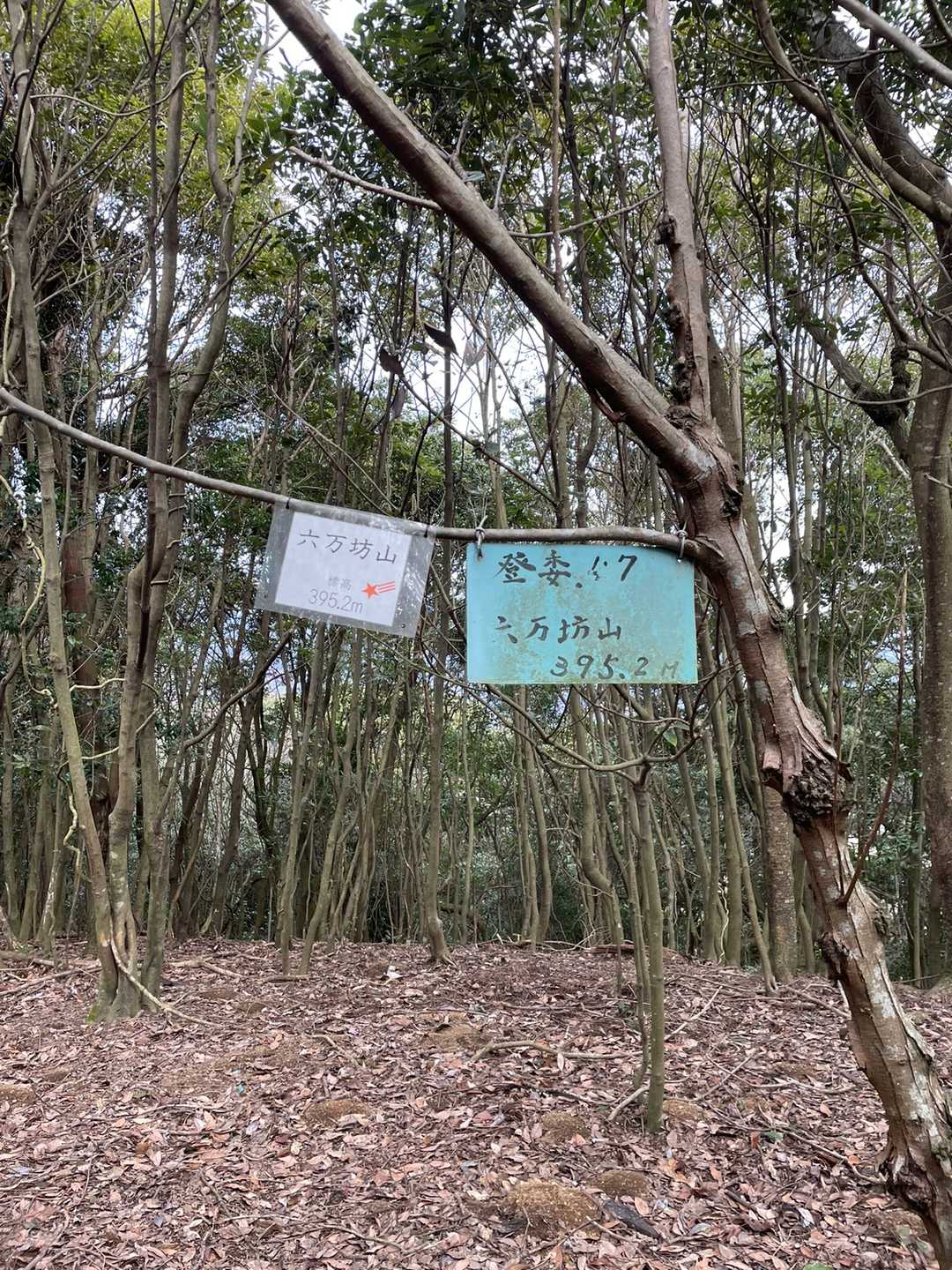 最終目的地に着きました