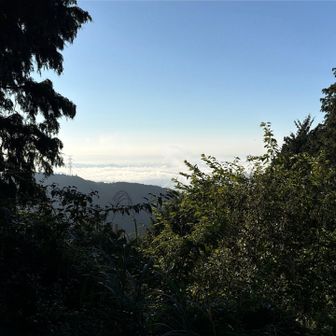 ここのオークラはオーシャンビューと聞いていたが
雲海のほうの海でしたか