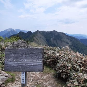 白のペンキで上塗りしたいです。。。