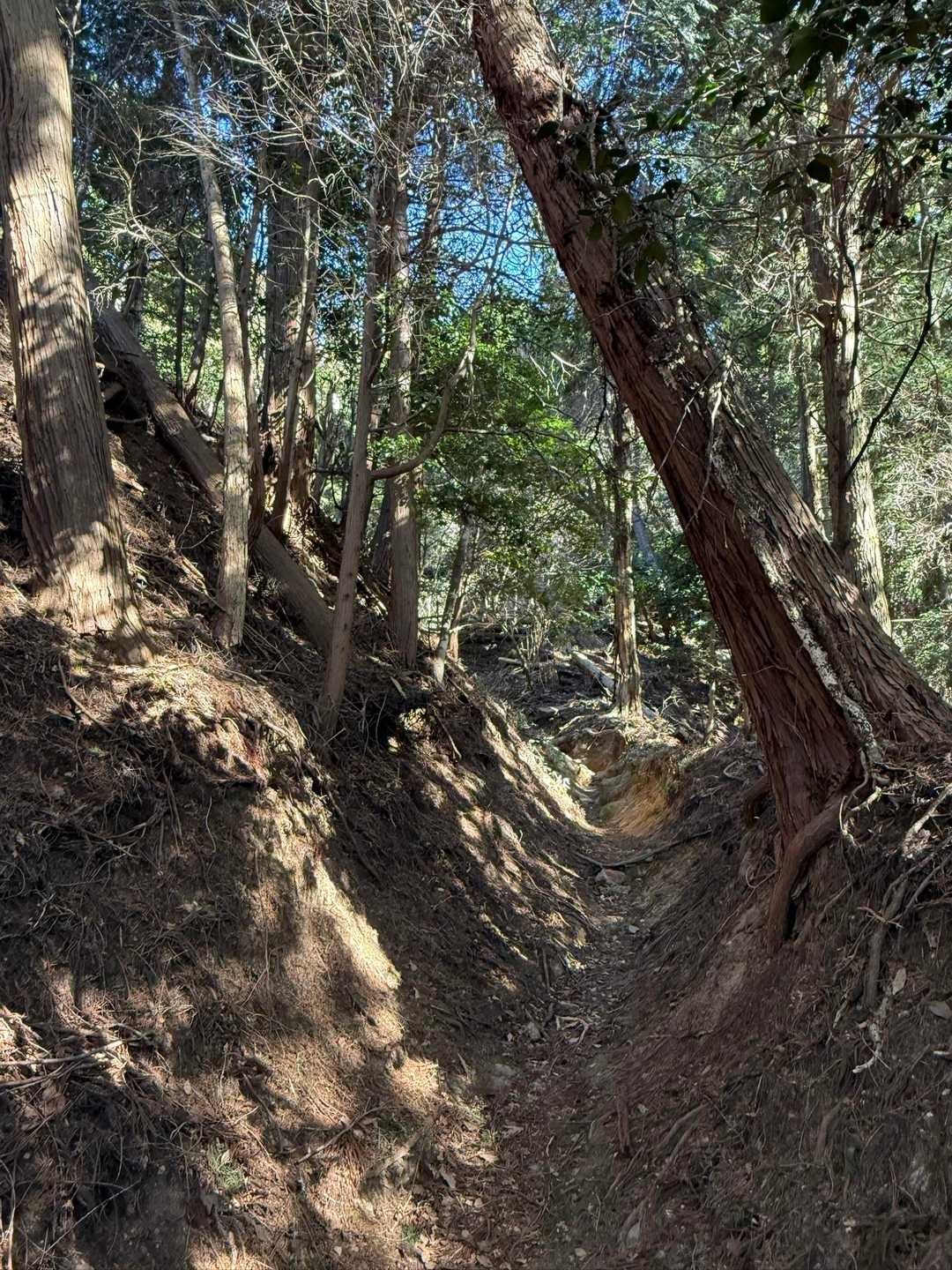 霊山寺登山口-霊山 周回コースの写真