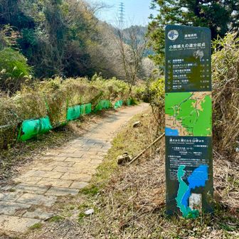 小関越の分岐点（てっぺん）…左のコンクリート・タイル道を登ってきた。

この先の下りは車も通るアスファルト道。
道幅も広くなる。

途中、三井寺へのハイキングコースがあったけど、自分は真っ直ぐ大津宿を目指す。
