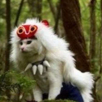 まむと
