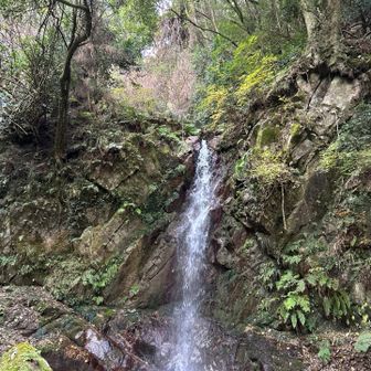 櫛羅の滝^ ^ 鯨は違います。