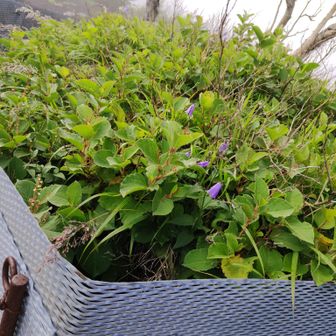 これはもう登山口ねｗ