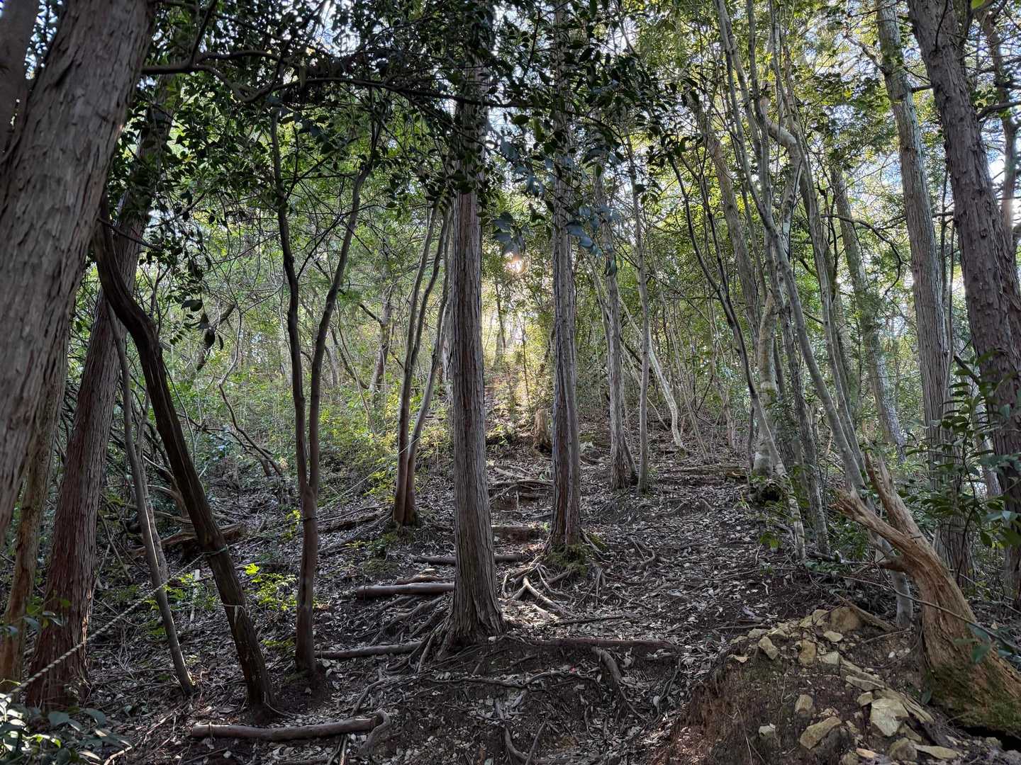 しもうち登山口-山王山-まるまる山登山口-高速道脇登山口 周回コースの写真