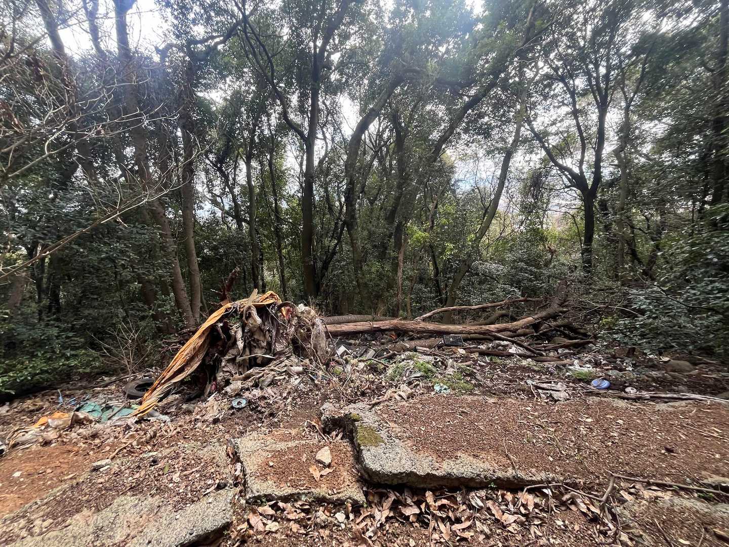 山が泣いてるよ😢