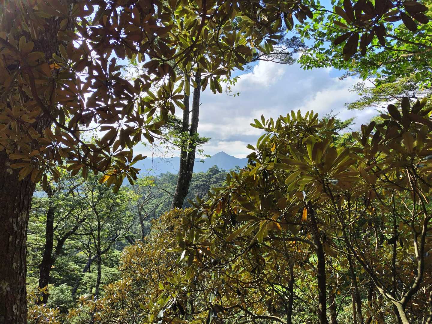 下山時の白髭岳👋