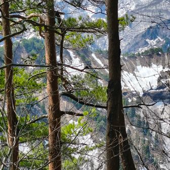 安座側の竜の背
凝灰岩のスラブ