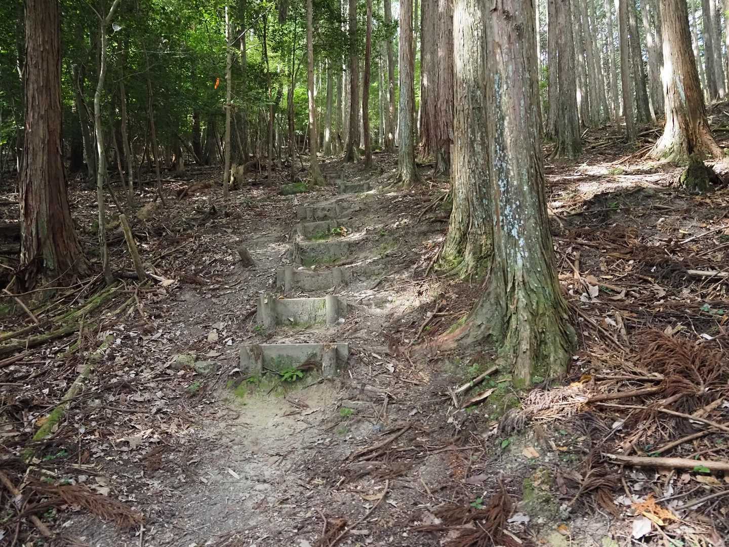 先ずはお山へ
結構な急登〜💦