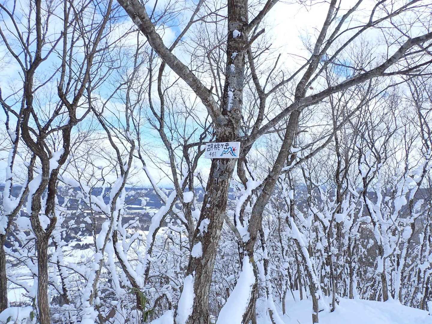 🏔️胡桃ヶ岳登頂