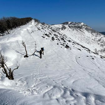 いつもは岩岩で歩きにくいけど、雪があると歩きやすいわ！