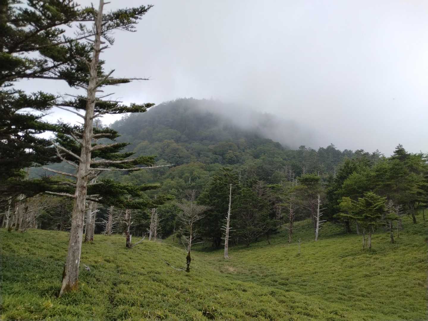 もうすぐ丸笹山✨