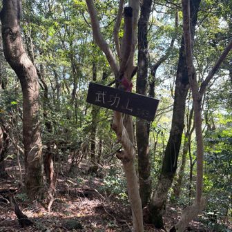 今日は縦走せずにピストンで帰ります
お疲れ山でした⛰️✨