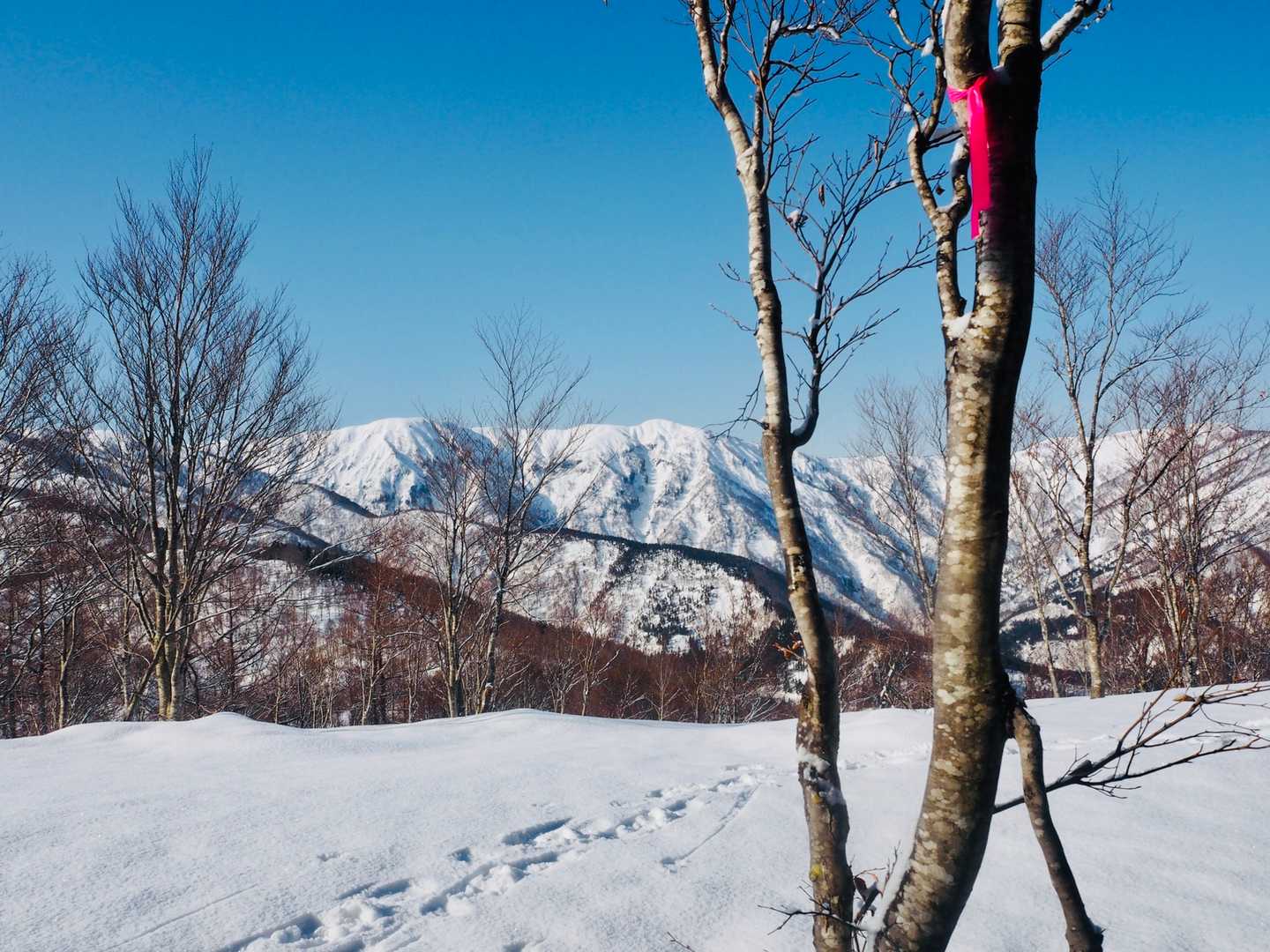 マルツンボリ山山頂。