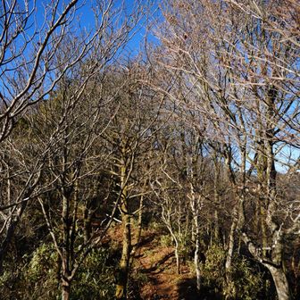 ﾃｸﾃｸ((´∀`)~♪