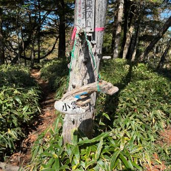 小雲取山まできました！ここまできたら雲取山はすぐです！