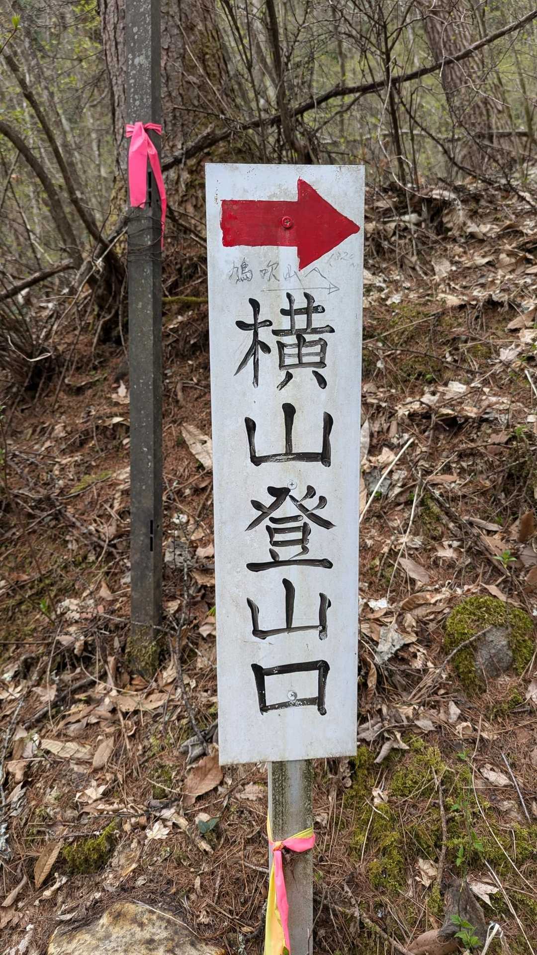 横山登山口-鳩吹山 往復コースの写真