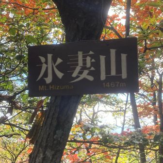 次ココ
倦怠期だな