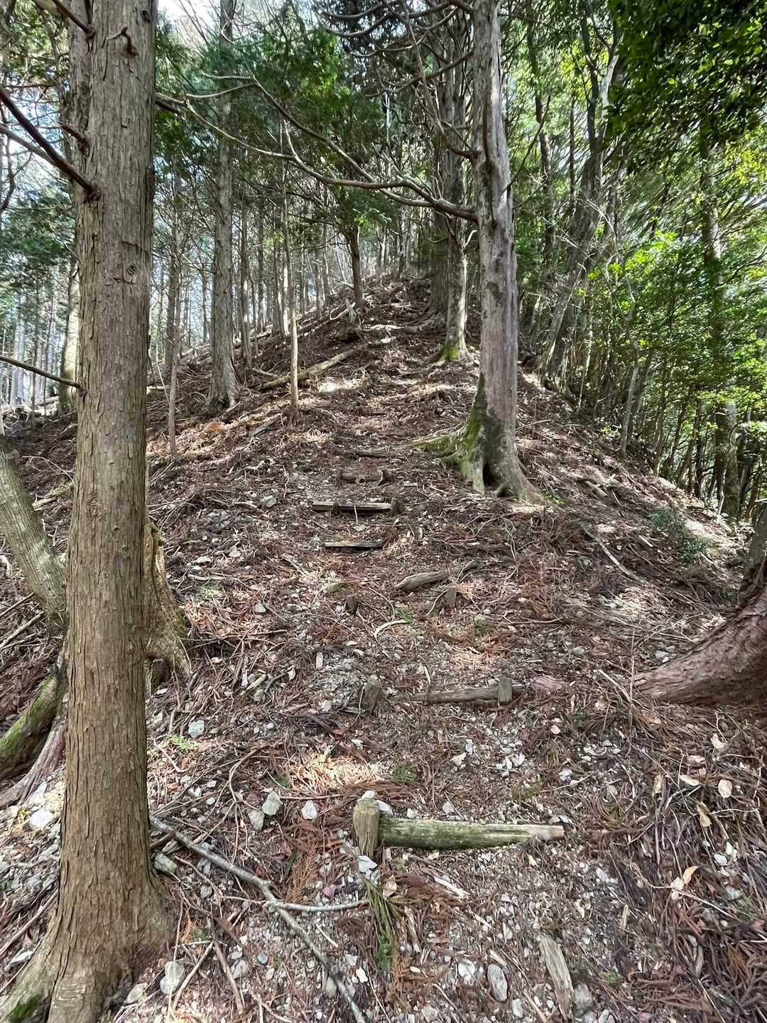 鳥居沢山まではとにかく急登が続く