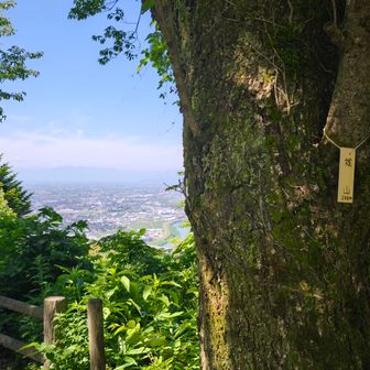 城山
