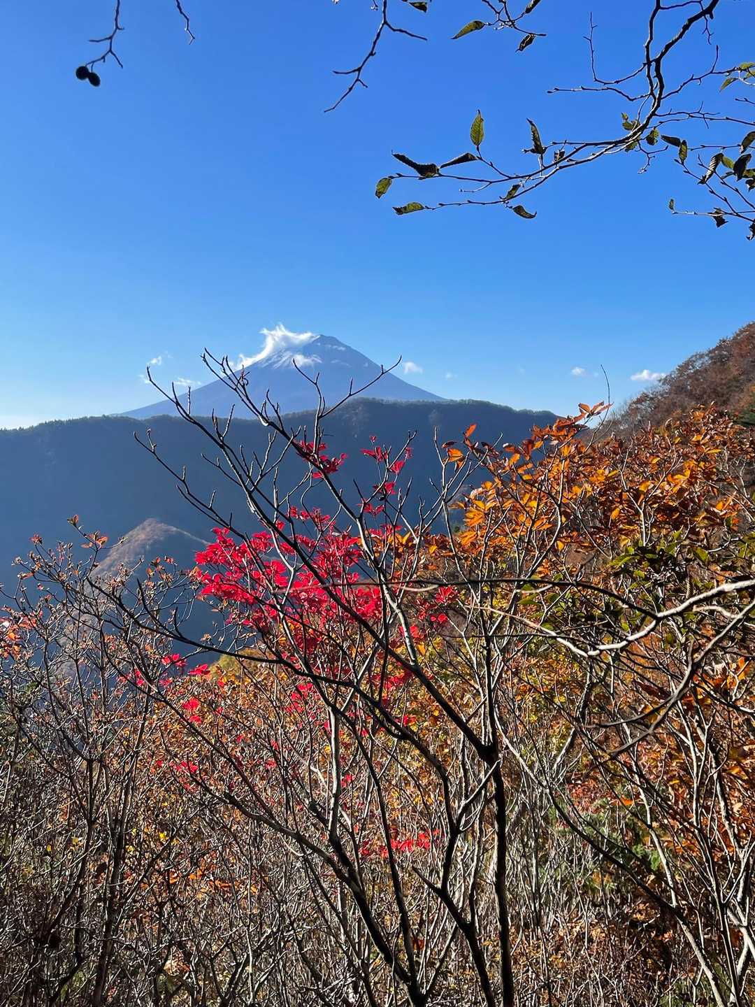 雪を纏った富士山🗻
夏姿の富士山も良いけど、やっぱ冬姿の富士山が好き🗻
