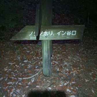 日没となりヘッデンを付ける。
ノタノホリ手前で右折して深谷方面へ。初ルートだが迷うことはなかった