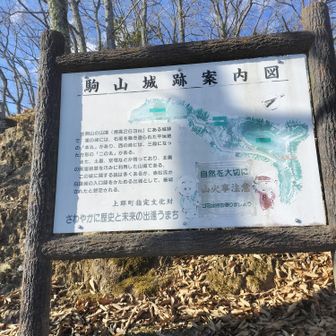 「生」の一字が消えていると思ったけど調べたら「駒山城址」！無知過ぎた私。室町期大名　赤松円心の3男が築城伝。上郡町は白旗城が有名であり、その支城の位置づけ。天保年間には宇喜多氏の所領となる。。。