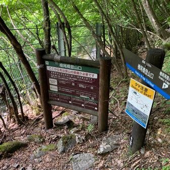 登山口に到着。