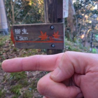 次は柳生の里へ行くでぇ～🏃‍♀️