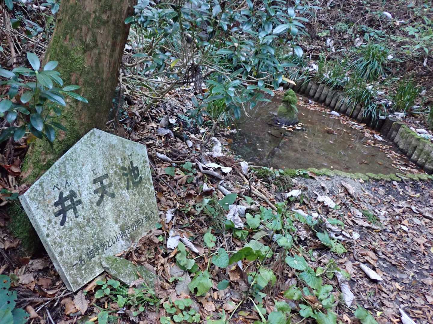 弁天池