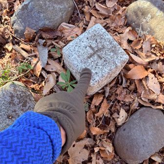 ついでに三角点タッチ