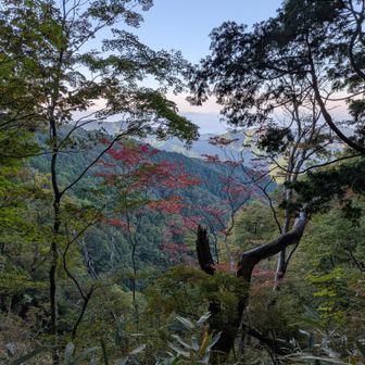 少し紅葉が