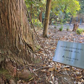 同志社創立150周年行事として
山道を整備されたそうです