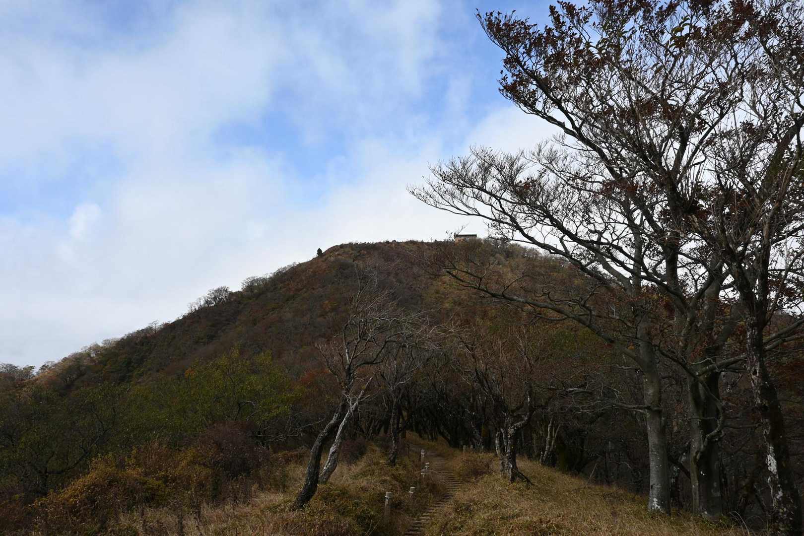 ここまでくると塔ノ岳が近くに見えます。