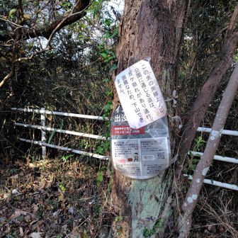 南郷上ノ山方面通行止め。つまりエスケープできないってことだね。ここまでこれたんだから行けるんじゃない？