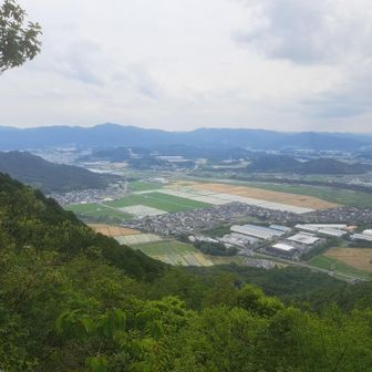 展望台より。風なし、
少し下りると、左手の菩提寺山まで見える✨