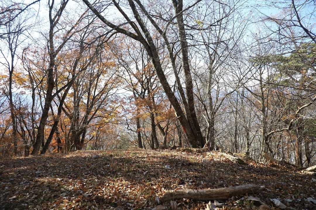 大日影山の山頂